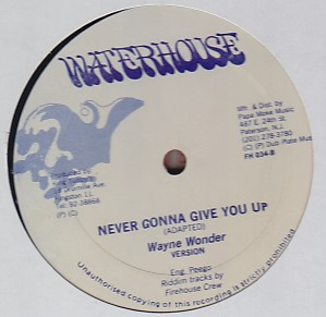 Wayne Wonder / Don Angelo & Danny Dread - Never Gonna Give You Up / Mampie Size