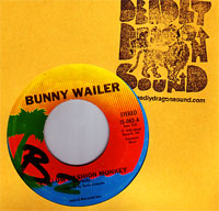 Bunny Wailer - Follow Fashion Monkey
