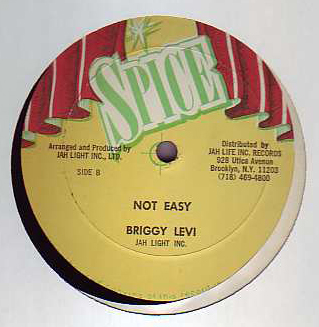 Briggy Levi / Jah Light - Not Easy / Count On You
