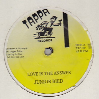 Junior Reid - Love Is The Answer