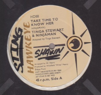 Tinga Stewart & Ninja Man - Take Time To Know Her