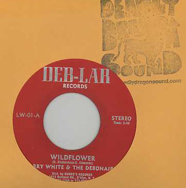 Larry White - Wildflower