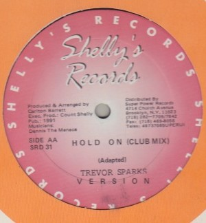 Trevor Sparks - Hold On