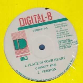 Garnett Silk / Cocoa Tea - Place In Your Heart / (Soundboy) Go